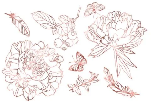 Rose gold elements set, hand drawn vector Stock Illustration