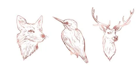 Rose gold elements set, hand drawn vector Stock Illustration