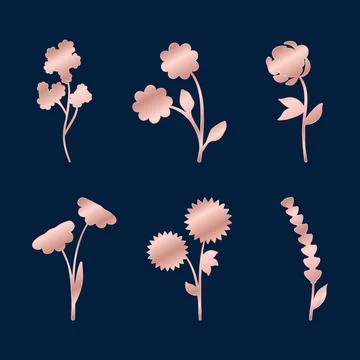 Rose golden botanical elements set delicate gradient flowers illustration Stock Illustration