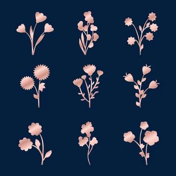 Rose golden floral elements set on dark background Stock Illustration