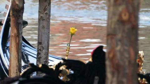 A rose on a gondola Stock Footage 137949