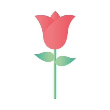 Rose with green stem on a white background Stock Illustration