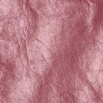 Rose Grunge Background Illustrazione stock