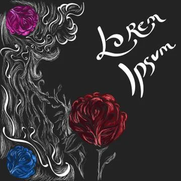 Rose hand drawn background Stock Illustration