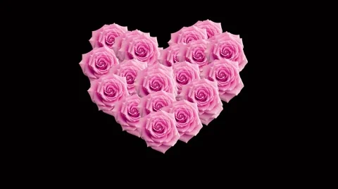 Rose heart final with alpha Stock Footage 1002316