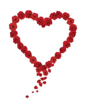 Rose heart Stock Illustration
