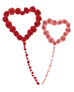 Rose heart Stock Illustration