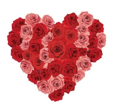 Rose heart Stock Illustration