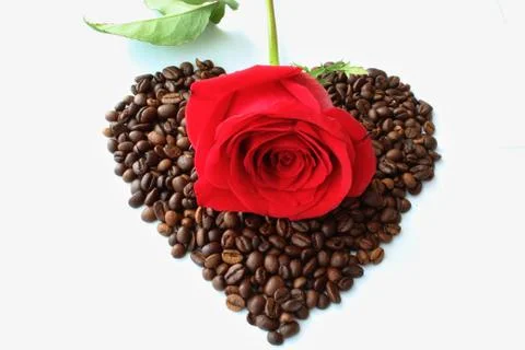Rose on heart Stock Photos