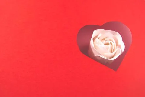 Rose in a heart-shaped frame Stock Photos