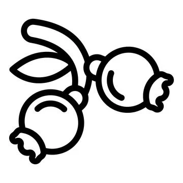 Rose hep icon outline vector. Rose plant seeds Stock Illustration