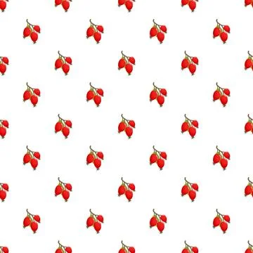 Rose hip berries repeating seamless pattern on white background Stock Illustration