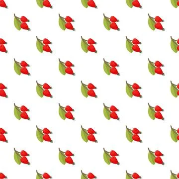 Rose hip berries seamless pattern on white background Illustrazione stock