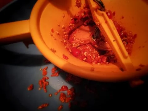 Rose Hip Jam Making Scene 库存照片