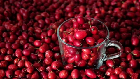 Rose hip or rosehip inside of the glass and over the table. Backgrounds. Stock Footage 172023099