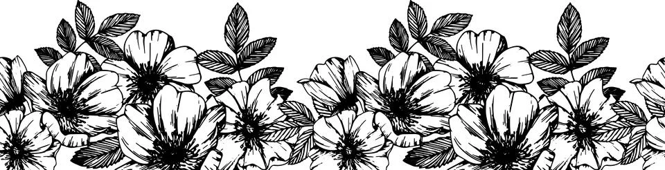 Rose hip vector seamless border. Wild rose flowers and berries, medicinal herb Stock Illustration