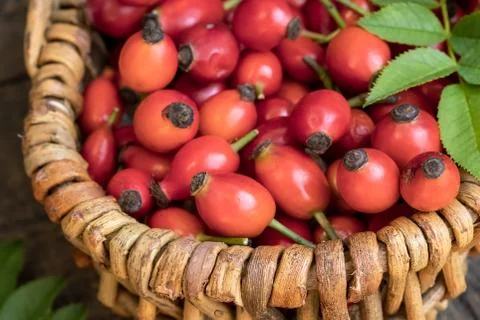 Rose hips in a basket Foto stock