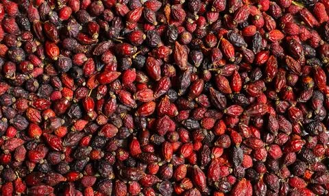 Rose hips dry patch close-up, natural background. Healthy food concept Stock Photos