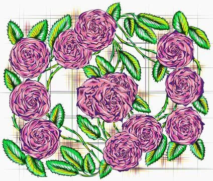 Rose hips  Stock Illustration