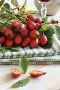 Rose hips Stock Photos