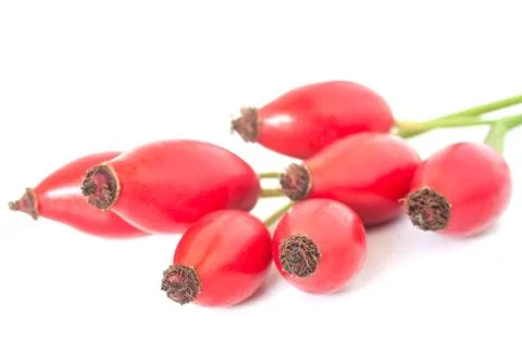 Rose hips Stock Photos