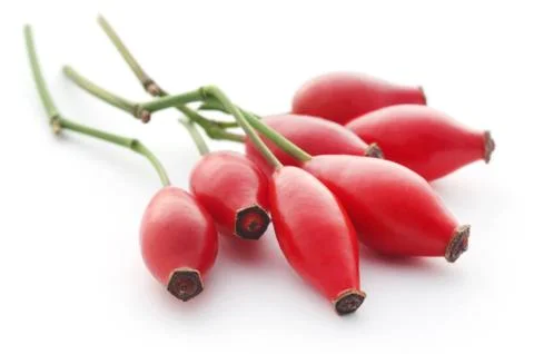 Rose hips Stock Photos