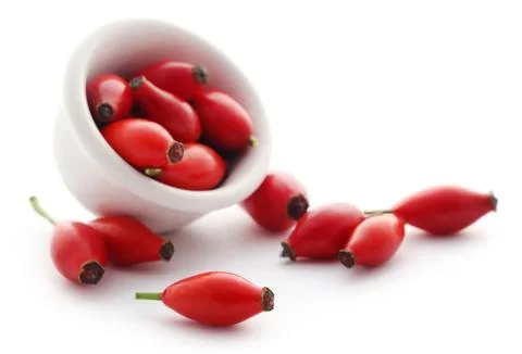 Rose hips Stock Photos