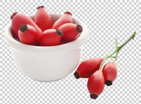 Rose hips Stock Photos