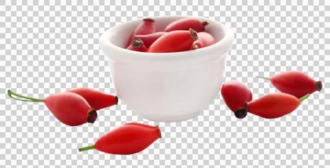 Rose hips Stock Photos