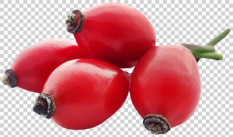 Rose hips Stock Photos
