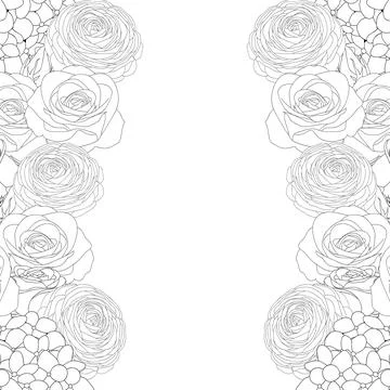 Rose, Hydrangea and Ranunculus Outline Border Stock Illustration