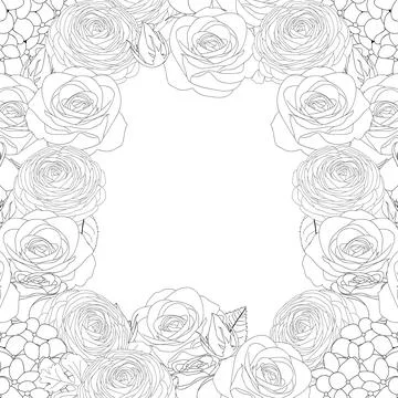 Rose, Hydrangea and Ranunculus Outline Border2 Stock Illustration