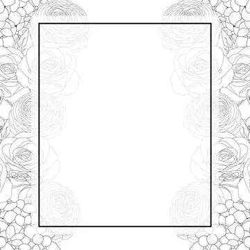 Rose, Hydrangea and Ranunculus Outline Banner Card Border Stock Illustration