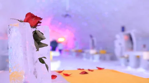 Rose in ice inside an ice hotel - time lapse scene Video stock 48059983