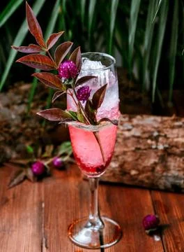 Rose iced cocktail on the table Stock Photos