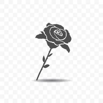 Rose icon isolated on transparent background. Stock Illustration