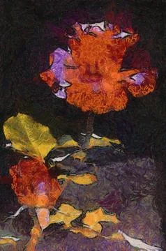 Rose Stock Illustration