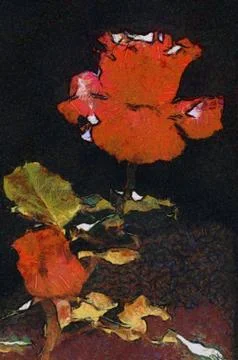 Rose Stock Illustration