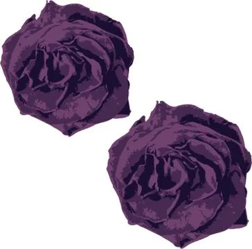 The rose Stock Illustration