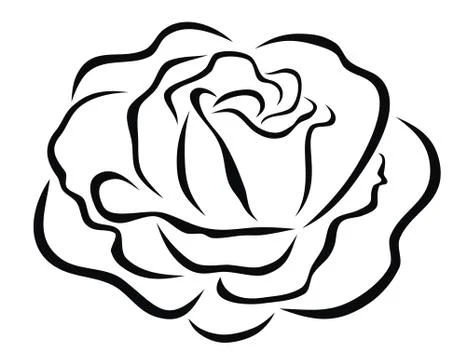 Rose Stock Illustration