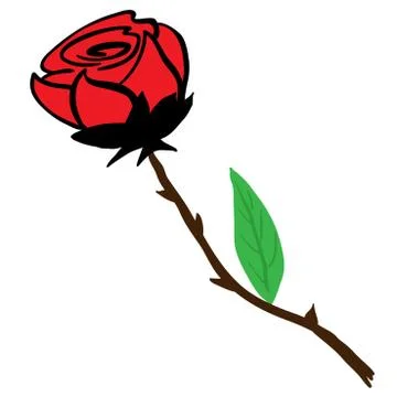 Rose Stock Illustration