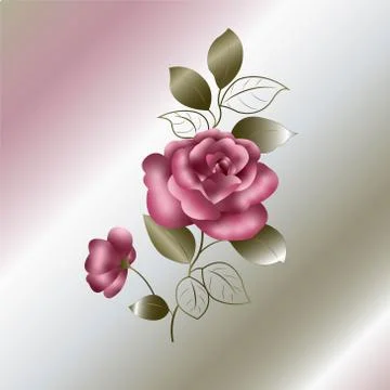 Rose Stock Illustration