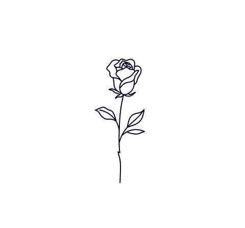 Rose Stock Illustration