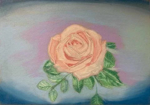 Rose Stock Illustration