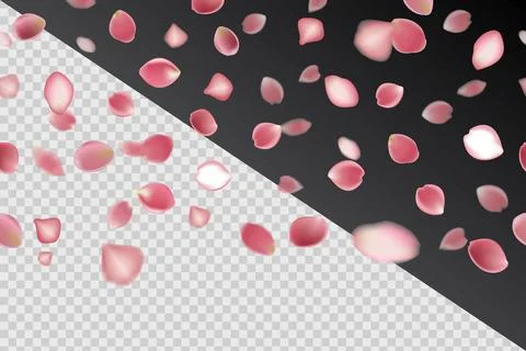 Rose Illustrazione stock