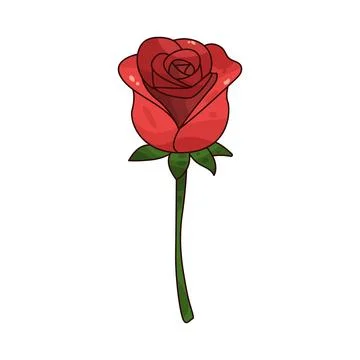 Rose illustration Illustrazione stock