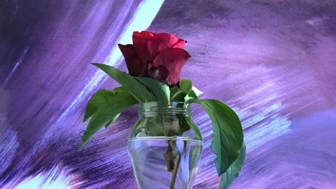 Rose inside vase Stock Footage 161507634