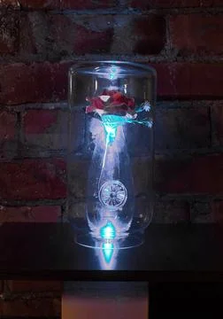 A rose in a jar 스톡 사진