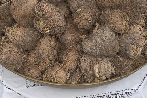 Rose of jericho Stock Photos