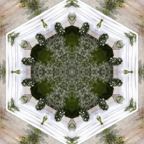 Rose leaf design concept ,Seamless geometry Circle Kaleidoscope Stock Footage 227526482